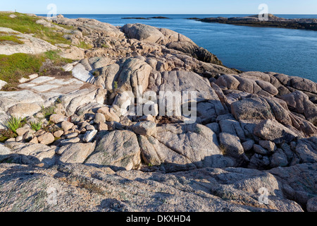 Errore isola, Errore Harbour, giù verso est, Maine Foto Stock