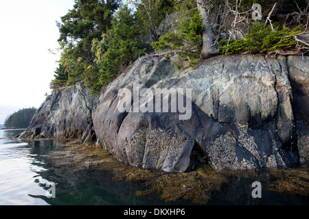 Scenic Maine, Roque Isola Arcipelago, giù verso est, Maine Foto Stock