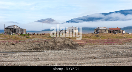 Villaggio di dubbia, Wrangel Island, Chuckchi Mare, Estremo Oriente Russo, Patrimonio Mondiale dell Unesco Foto Stock