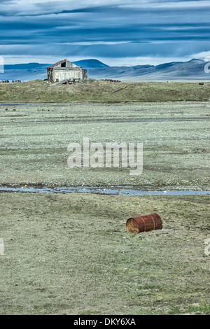 Villaggio di dubbia, Wrangel Island, Chuckchi Mare, Estremo Oriente Russo, Patrimonio Mondiale dell Unesco Foto Stock