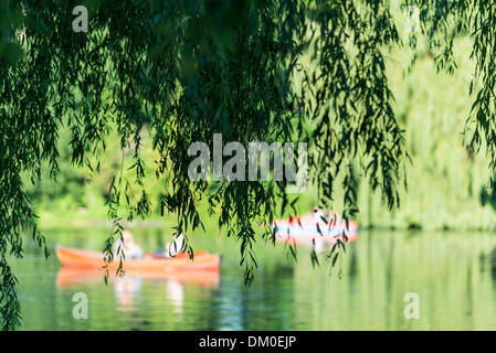 Kleinhesseloher Vedi, Englischer Garten a Monaco di Baviera, Germania Foto Stock