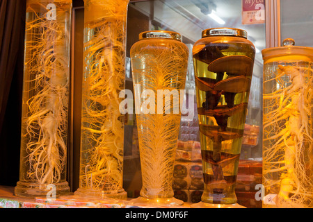 Insamju - Tradizionale Coreano alcol medicinale fatta con il ginseng e yungji (lingzhi) funghi - Seoul, Corea del Sud Foto Stock