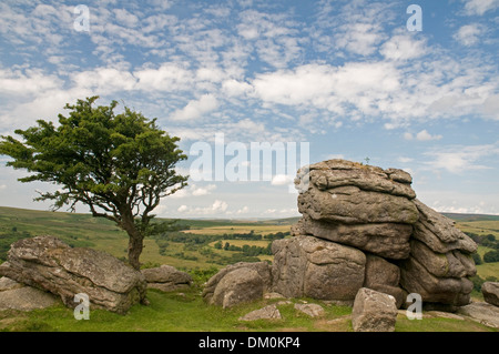Impressionante scenario brughiera vicino a sella Tor su Dartmoor, guardando verso nord-ovest Foto Stock