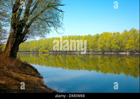 Fiume Foto Stock