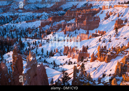 Le hoodoos in inverno, Bryce Canyon dello Utah, Stati Uniti d'America Foto Stock