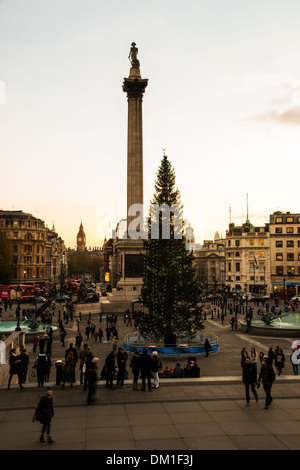 La vista a sud di Trafalgar Square (Xmas 2013) Foto Stock