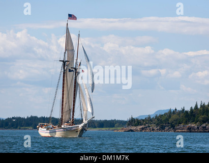 Patrimonio Windjammer vela nel Maine nella baia di Penobscot Foto Stock