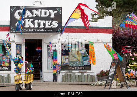 Aquilone memorizzare nella Bodega Bay,California , Stati Uniti Foto Stock