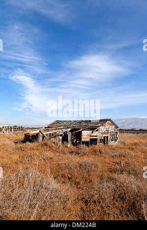 Una capanna abbandonata lentamente affonda nella palude presso la città fantasma di ponte levatoio nel sud della Baia di San Francisco. Foto Stock