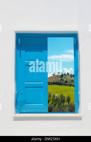 La molla tarassaco prato verde e alberi visti attraverso la finestra Foto Stock