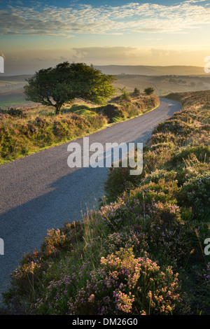 La strada sopra Stoke Pero comune, Dunkery Hill, Parco Nazionale di Exmoor, Somerset, Inghilterra, Regno Unito Foto Stock