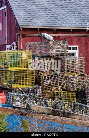 Rustico del pescatore shack, Menemsha, Chilmark, Martha's Vineyard, Massachusetts, STATI UNITI D'AMERICA Foto Stock