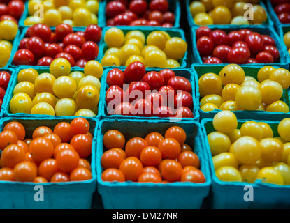 Pinta di cartoni di freschi pomodori ciliegia varietà al mercato degli agricoltori. Foto Stock