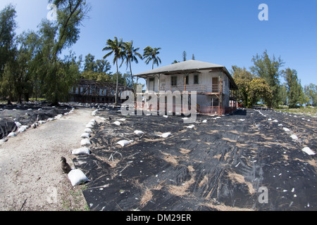 Panno nero sparsi sul terreno per preparare per il piombo abbattimento degli albatross habitat di nidificazione intorno al centro storico 1904 Pacifico commerciale Cavo edificio aziendale Foto Stock