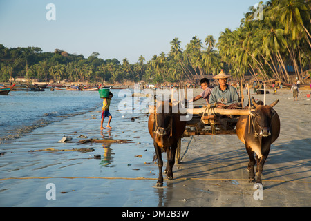 La spiaggia di Gyeiktaw all'alba, Ngapali, Rakhine, Myanmar (Birmania) Foto Stock