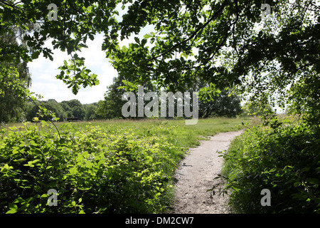 Hampstead Heath è un grande parco antico nel nord di Londra copre 790 ettari di verde pubblico spazio. Foto Stock