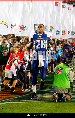 Minnesota Vikings RB Adrian Peterson durante le presentazioni del lettore al 2010 NFL Pro Bowl tenutosi presso Sun Life Stadium. (Credito Immagine: © Don Montague/Southcreek globale/ZUMApress.com) Foto Stock