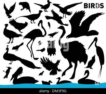 uccelli Illustrazione Vettoriale