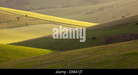 La luce del tramonto illuminano le colline di incastro del South Downs vicino a Lewes in East Sussex Foto Stock