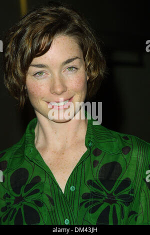 Nov. 17, 2001 - 9TH DIVERSITÀ AWARDS.a Hollywood & Highland Grand Ballroom in la.JULIANNE NICHOLSON. FITZROY BARRETT / 11-17-2001 K23426FB (D)(Immagine di credito: © Globo foto/ZUMAPRESS.com) Foto Stock