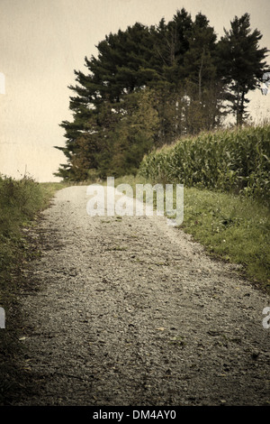 Una vecchia strada di ghiaia accanto a un cornfield Foto Stock