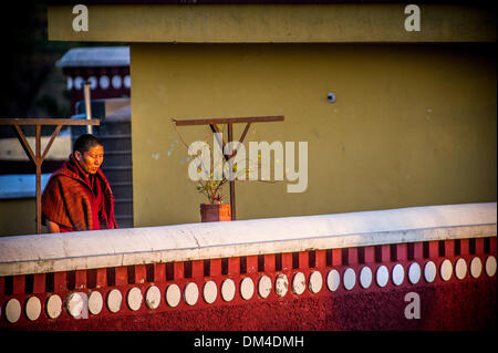 Febbraio 2, 2013 - Sidhbari, Himachal Pradesh, India - Buddismo tibetano in esilio..un monaco tibetano chant dal tetto all'alba a Sua Santità il XVII Gyalwang Karmapa Ogyen Trinley Dorje temporanea di casa al monastero di Gyuto in Sidhbari, India. Dopo aver effettuato una drammatica fuga dal Tibet nell'anno 2000 il Karmapa continua come la testa della vecchia 900 anni Karma Kagyu Lineage...Storia Sommario: buddismo tibetano è vivo e vegeto, al di fuori del Tibet. La religione e la cultura del popolo tibetano è fiorente in comunità in tutto il mondo come tibetano in esilio il leader spirituale il Dalai Lama ha indic Foto Stock