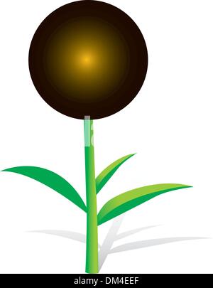 Girasole su bianco Illustrazione Vettoriale