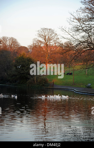 Il sole invernale sul Queens Park pond BRIGHTON REGNO UNITO Foto Stock