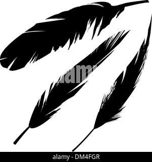 Piume in vettore Illustrazione Vettoriale