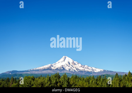 Mt. Il cofano visto a inizio estate prima che la neve si è sciolta off Foto Stock