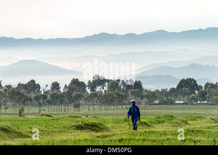 Le persone che lavorano nei campi Parco Nazionale Vulcani Ruanda Africa Foto Stock