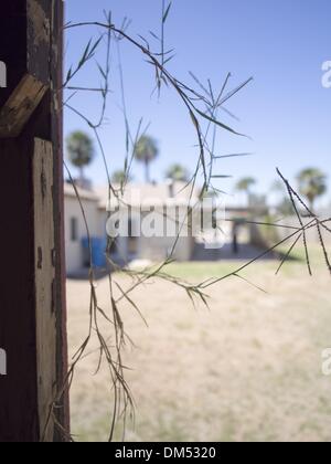 Phoenix, Arizona, 00, . 3 Aprile, 2013. Erba e legno in ashack al di fuori di una casa precluso a Phoenix, Arizona, Stati Uniti © David H. pozzetti/ZUMAPRESS.com/Alamy Live News Foto Stock