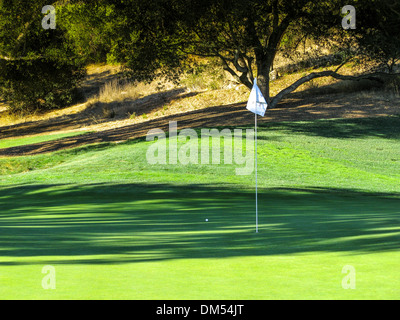 Il primo Green al 2013 Northwestern reciproca sfida mondiale in Thousand Oaks California che beneficiano di Tiger Woods Foundation Foto Stock