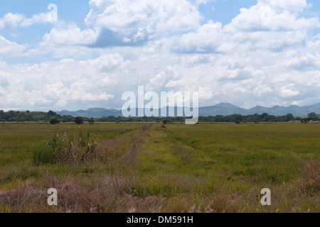 Paesaggio di Guanacaste Foto Stock