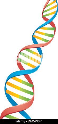 DNA a doppia elica Strand Illustrazione Vettoriale