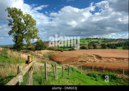 La raccolta delle colture su Meon collina vicino a Chipping Campden, Gloucestershire, Inghilterra. Foto Stock