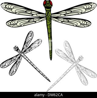 Libellula realistica Illustrazione Vettoriale