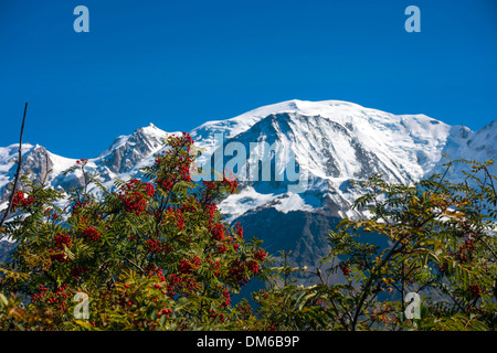 Mont Blanc mountain range visto da Le Prarion Foto Stock