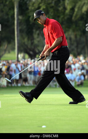 Mar 06, 2005; Miami, FL, Stati Uniti d'America; tiger woods guarda il suo birdie putt al diciassettesimo foro affondano nella tazza di dare a lui la sua corsa di una vittoria su Phil Mickelson. Foto Stock