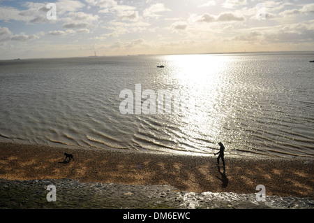 Un membro del pubblico passeggiate il loro cane un lungo l'estuario del Tamigi beach a Leigh on Sea vicino a Southend in Essex , Foto Stock