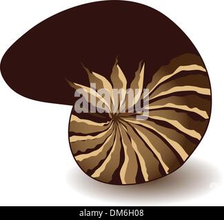 Coperture del Nautilus Illustrazione Vettoriale