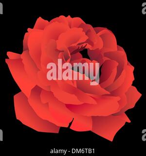 Rose disegnate a mano Illustrazione Vettoriale