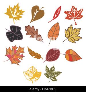 Set di foglie di autunno Illustrazione Vettoriale