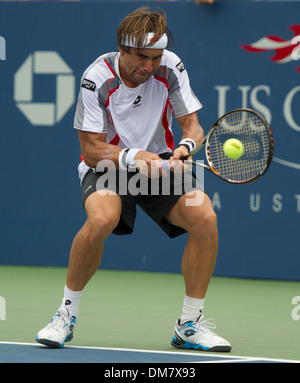 David Ferrer US Open 2012 Uomini Match - Lleyton Hewitt (AUS) v David Ferrer (ESP) - USTA Billie Jean King National Tennis Foto Stock