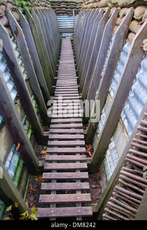 Ypres trincea Passchendaele Foto Stock