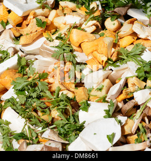 Diversi funghi tagliati con parlsey e altri herbage venduti al mercato Foto Stock