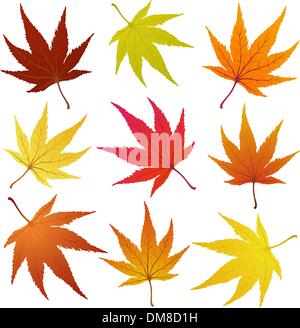 Foglie di autunno Illustrazione Vettoriale