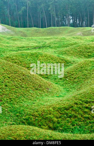 Vimy Ridge contorno di vecchie trincee Foto Stock