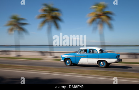 Vecchio american Cuba guida auto sul lungomare ( Il Malecon ) con palme, Cienfuegos, Cuba, Caraibi Foto Stock
