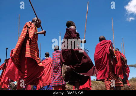 Un gruppo di Guerrieri Maasai eseguire una sorta di marzo-passato durante la tradizionale cerimonia Eunoto eseguita in una venuta di cerimonia di età per i giovani guerrieri della tribù Masai del Ngorongoro Conservation Area nel cratere Highlands area della Tanzania Africa orientale Foto Stock